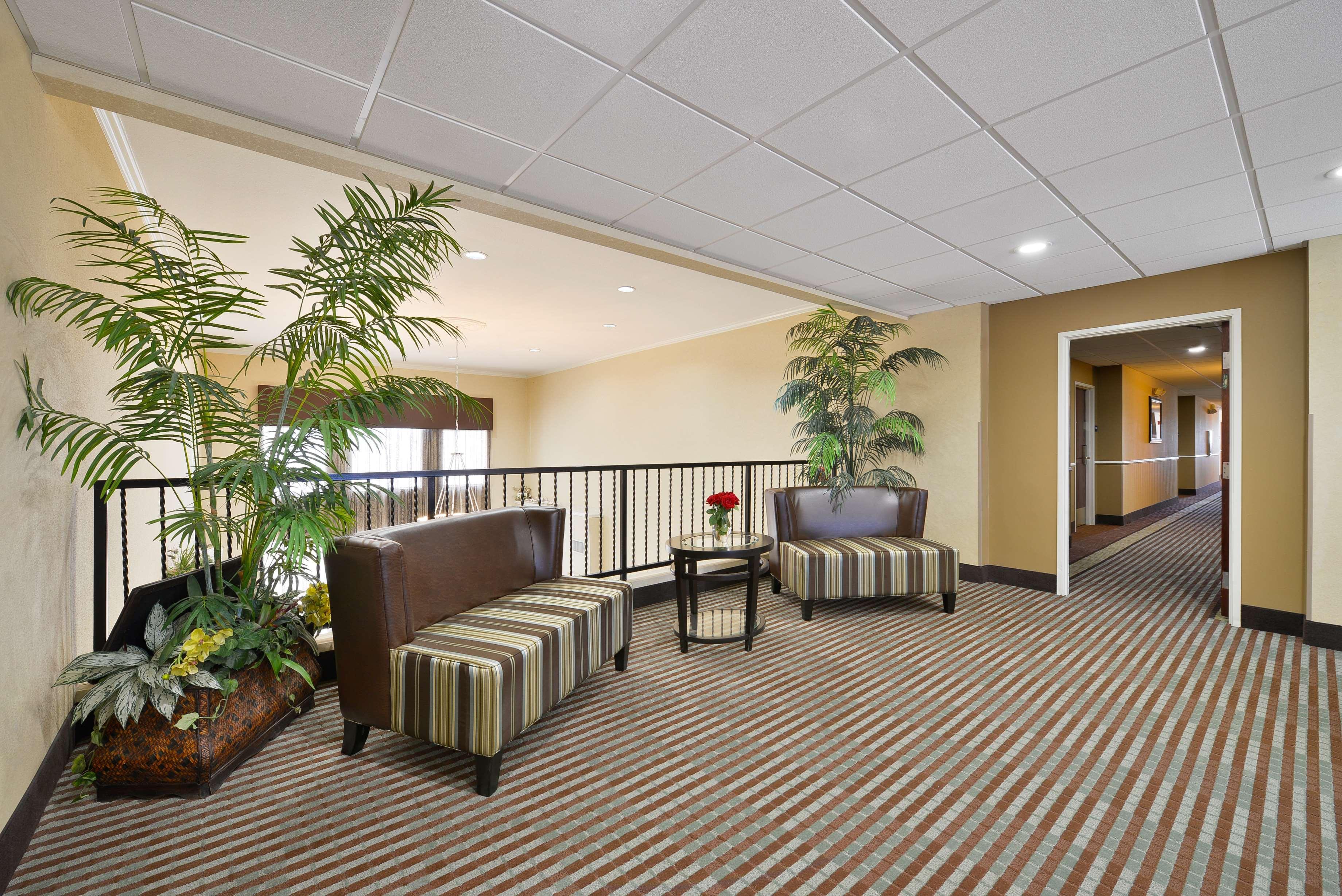 Best Western Plus Cutting Horse Inn&Suites Weatherford Extérieur photo